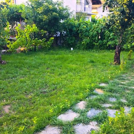 Alpin Guest House Sapareva Bania Exterior foto
